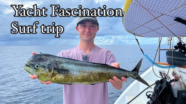 Nice catch today from the guest on the yacht 🛥️ a good size mahi-mahi 🎣 
Well done !! It’s not just surfing 🏄🏽 on this trip , fishing 🎣 and lots of other activities going on like scuba 🤿 diving , snorkeling, whale shark, mantas searching, desert islands…. 

If you are also interested to take your family on an unforgettable holiday, then  think no more …. Asks us for a tailored made trip by email 
📧 info@fascinationmaldives.com 

Message us on WhatsApp 
Maxine : +33609870931 

#fascinationmaldives #yachtholidayspecialist #yachts #yachtholiday #yachtcharters #maldivescruise #maldivessurfing #maldivesislands #surftheearth #surftrip #fishingtrip #fishingmahimahi #sunisout #sandbeach #maldive #maldives🇲🇻