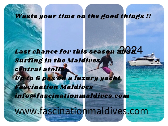 Still time for some good surfing 🏄🏼‍♂️ 
Last spaces left in October 2024 
Male atoll or Central atolls are still pumping strong 💪 🌊 🏄‍♀️ 
Fascination yacht up to 6 pax in 3 luxury cabins with bathrooms 

Ask for availability in October 2024 and quotation 👇
WhatsApp +33609870931 Maxine 
Email  info@fascinationmaldives.com 

#surf #maldivesurf #surfing #surfgroup #friendsforsurf #surfgram #maldivessurfing #maldives #surfcharter #surfbreak #surfclub #surfbudy #surfboard #lifeofsurfing #fascinationmaldives #surfmaldivas #surfdea #surfmappers #surfmzgazine