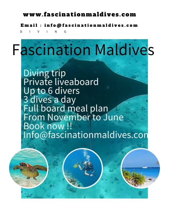 Tag someone you would take with you on this dive trip !! 🙌 

Luxury and private Diving adventure on yacht Fascination in the Maldives 🇲🇻 
Shape up your friends or family, up to 6 guests in 3 double or twin cabins with bathrooms and aircon 24h 🕛 
-airport welcome 
-Full board meal plan 
-Diving 
-Dive master 
-Excursions to islands 
-Kayak and Paddle board

Contact us for more info ℹ️ 
Email 📧 
info@fascinationmaldives.com
Maxine on WhatsApp +33609870931

🌏www.fascinationmaldives.com

#divetrip #divetrips #maldive #maldivesdiving #divinginmaldives #diveworld #divinglife #divebuddy #divebutler #maldivesholiday #amazingdive