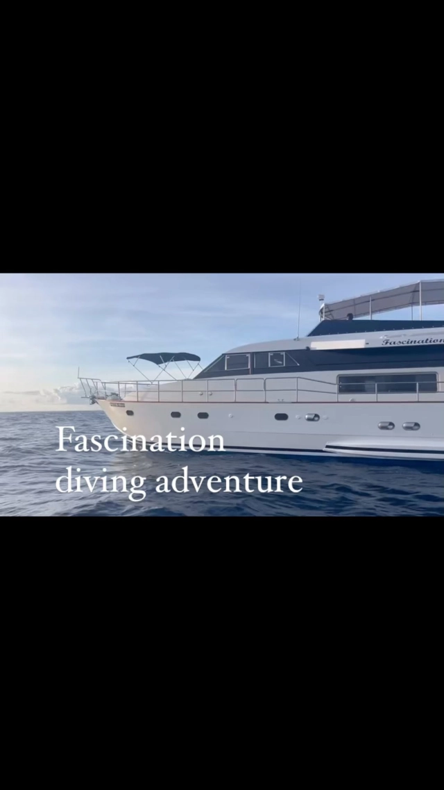 Diving holidays on private yacht 🛥️ Fascination 
Fascination provides the best tailored made diving holidays in the Maldives 🇲🇻 for your group or family, private luxury yacht with 3 double cabins up to 6 guests 

Contact us for price and information  @ 
info@fascinationmaldives.com 
WhatsApp  Maxine +33609870931 

🌏 www.fascinationmaldives.com 

#maldives #yachtcharters #yacht #maldivescruise #divinglife #diving #liveaboard #liveaboarddiving #divingtrip #divingmaldives #maldive #enjoylife #padidiver